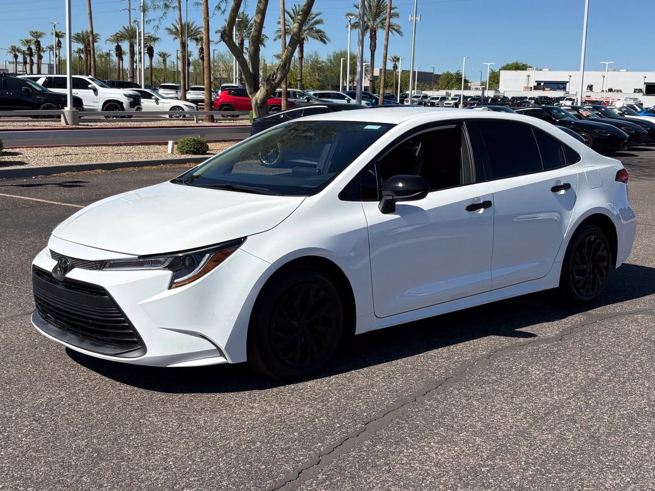 Used 2024 Ice Cap Toyota LE image 1