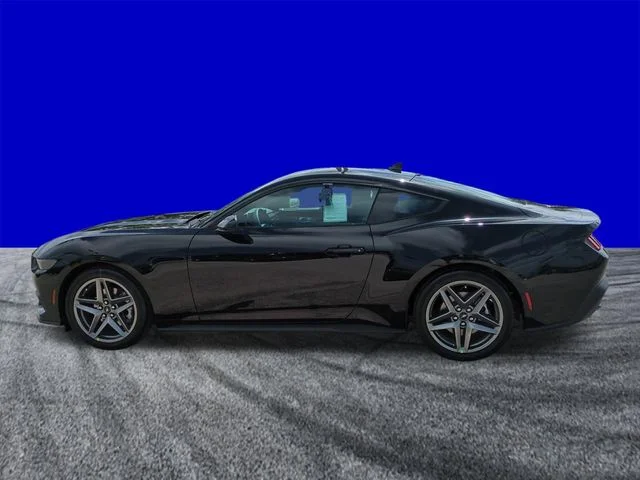 New 2026 Shadow Black Ford EcoBoost® Fastback image 7