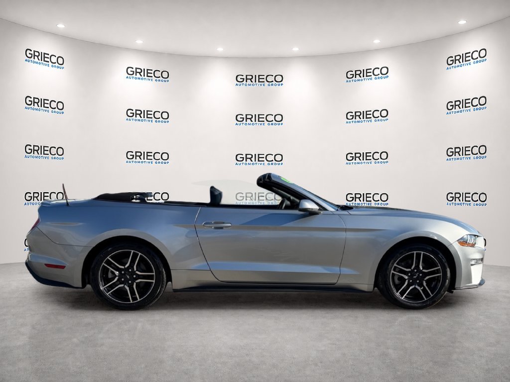 Used 2020 Silver Ford EcoBoost Premium image 8