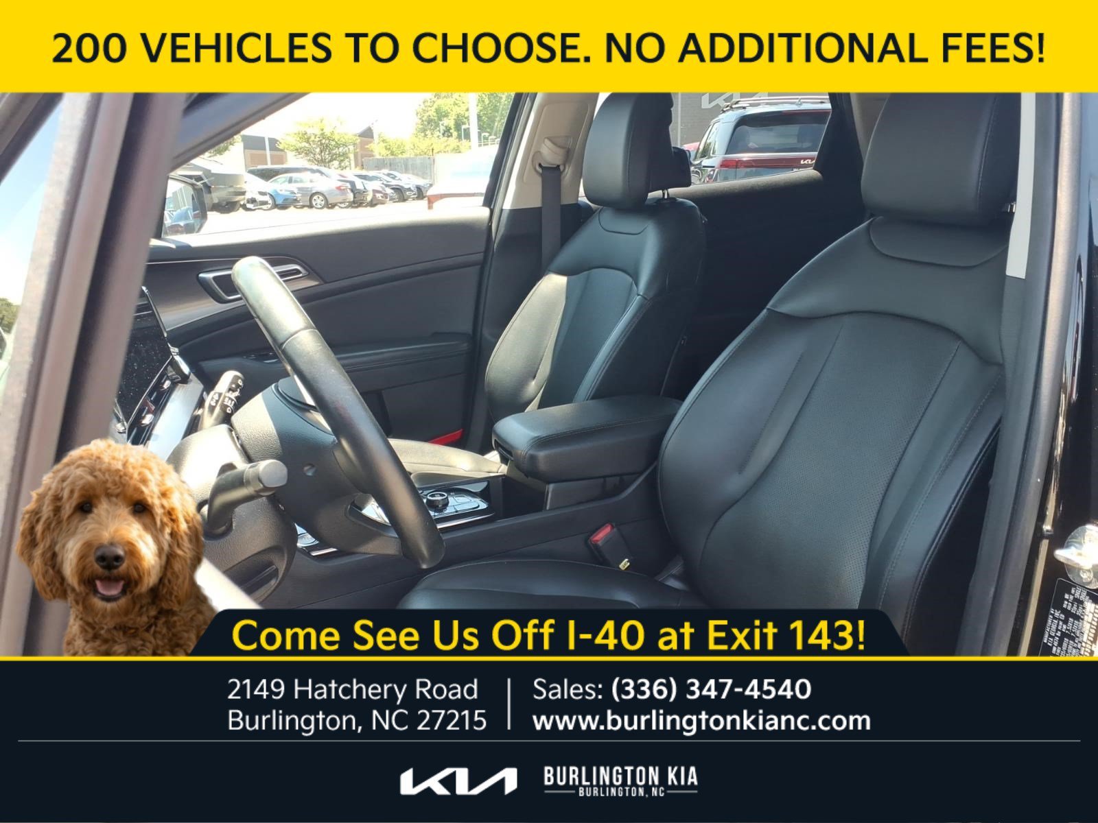 Certified Used 2024 Ebony Black Kia EX image 2