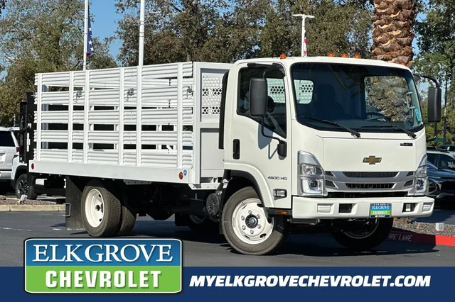 2025 Chevrolet Low Cab Forward 4500 HG 
