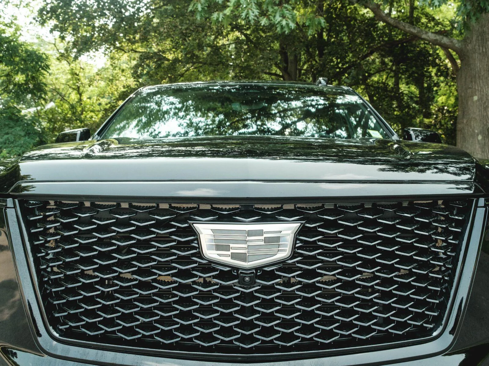 2026 Cadillac Escalade Sport - Photo 16