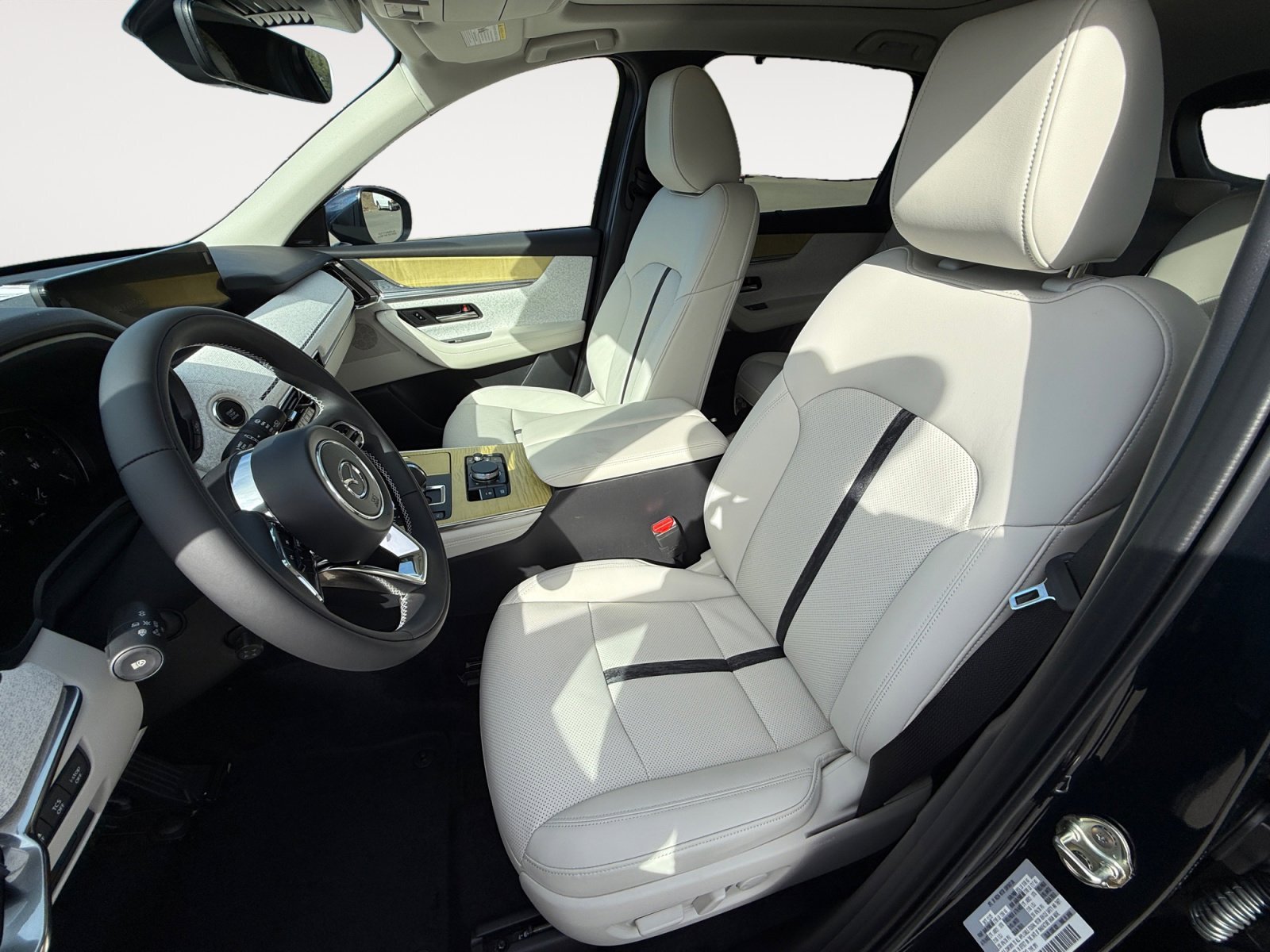2026 Mazda CX-90 Premium Plus Package - Photo 10