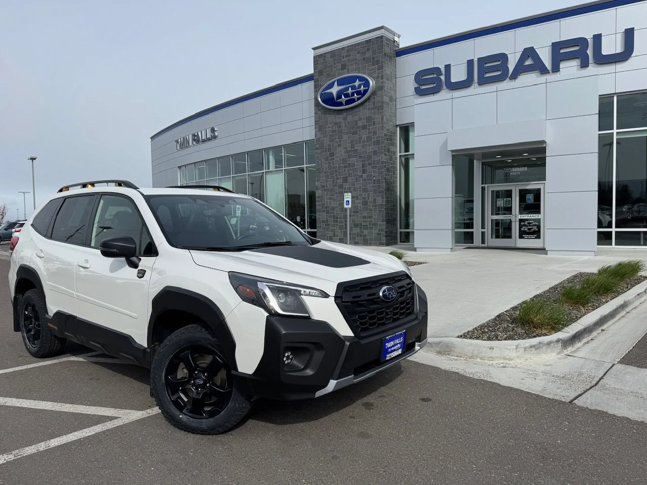 2024 Subaru Forester Wilderness's photo
