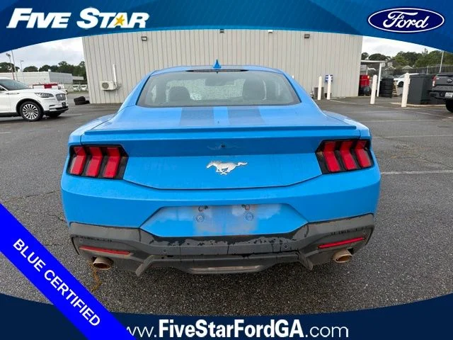Used 2024 Grabber Blue Ford EcoBoost Premium image 4