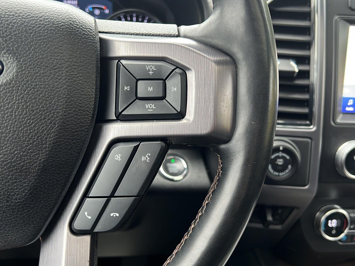 Used 2020 Magnetic Ford Platinum image 9