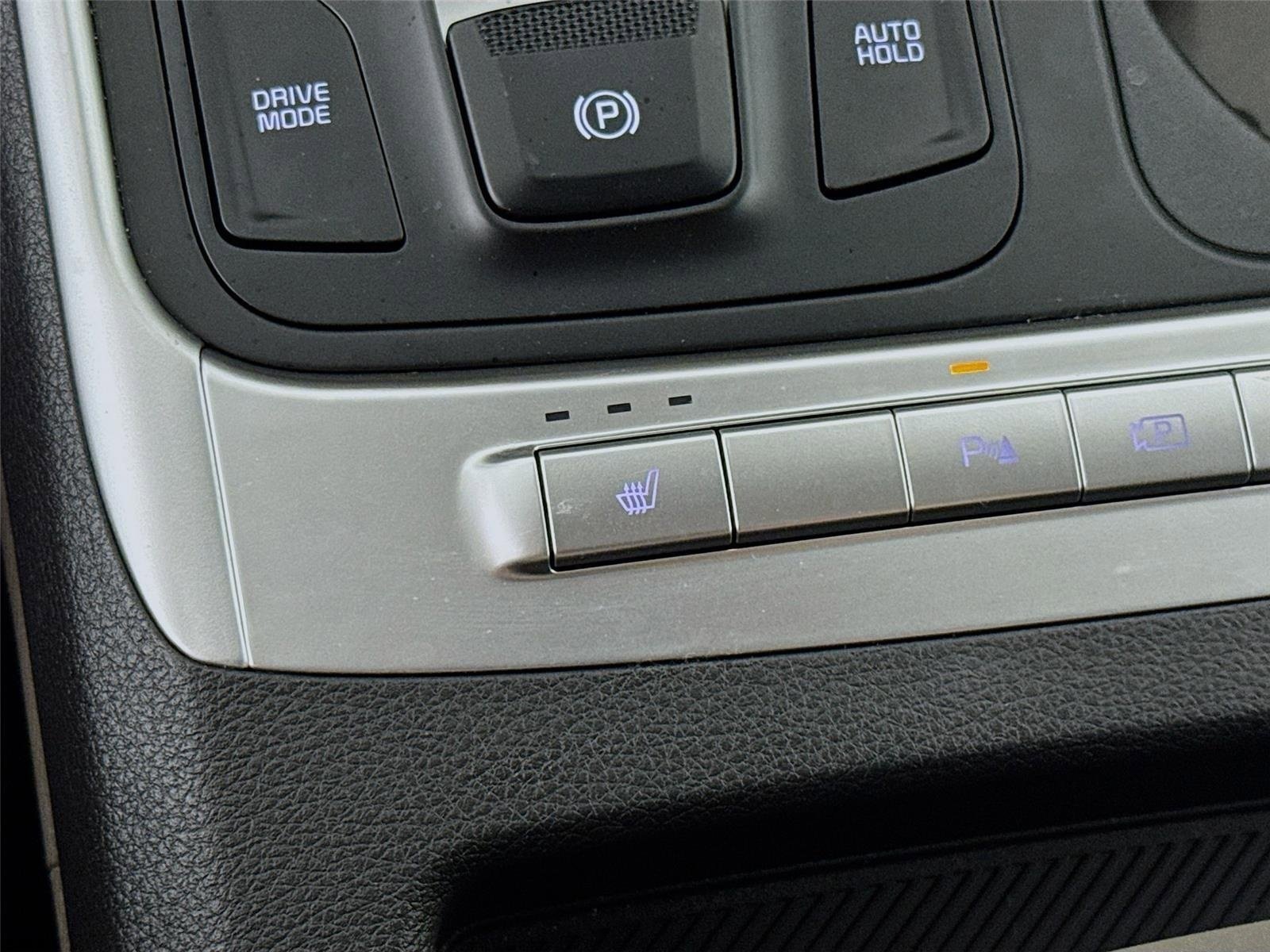 Used 2025 Panthera Metal Kia LXS image 21