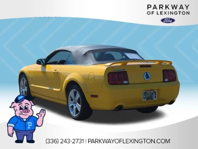 Used 2006  Ford GT Premium image 3