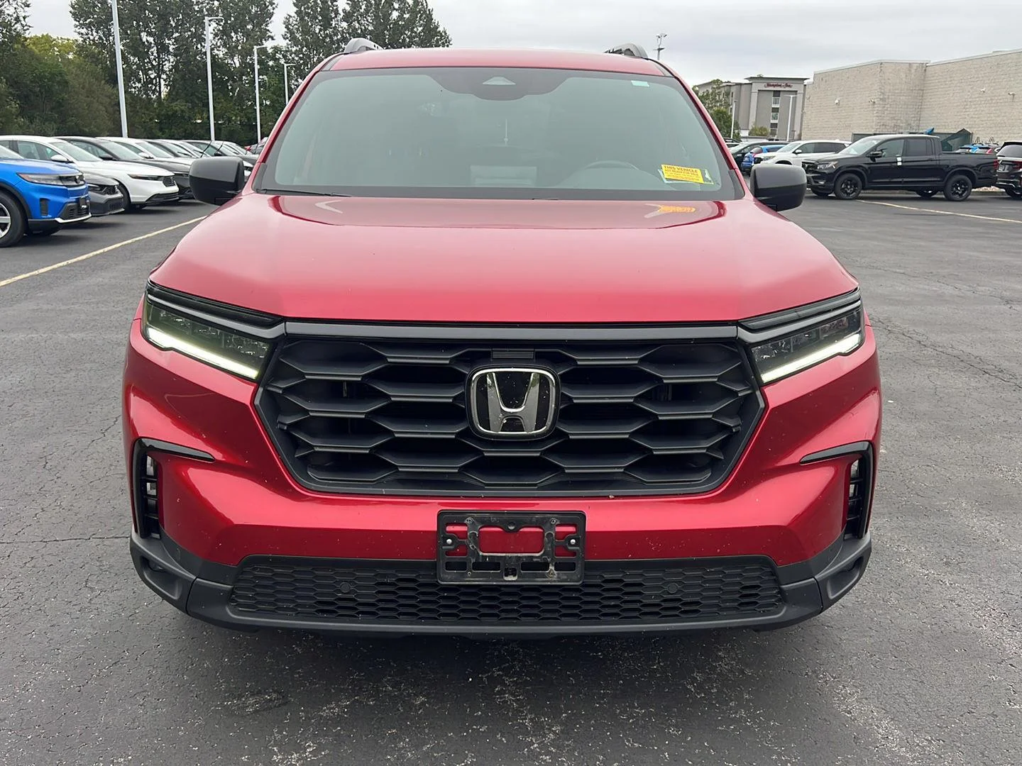 Used 2025 Radiant Red Metallic II Honda Sport image 2