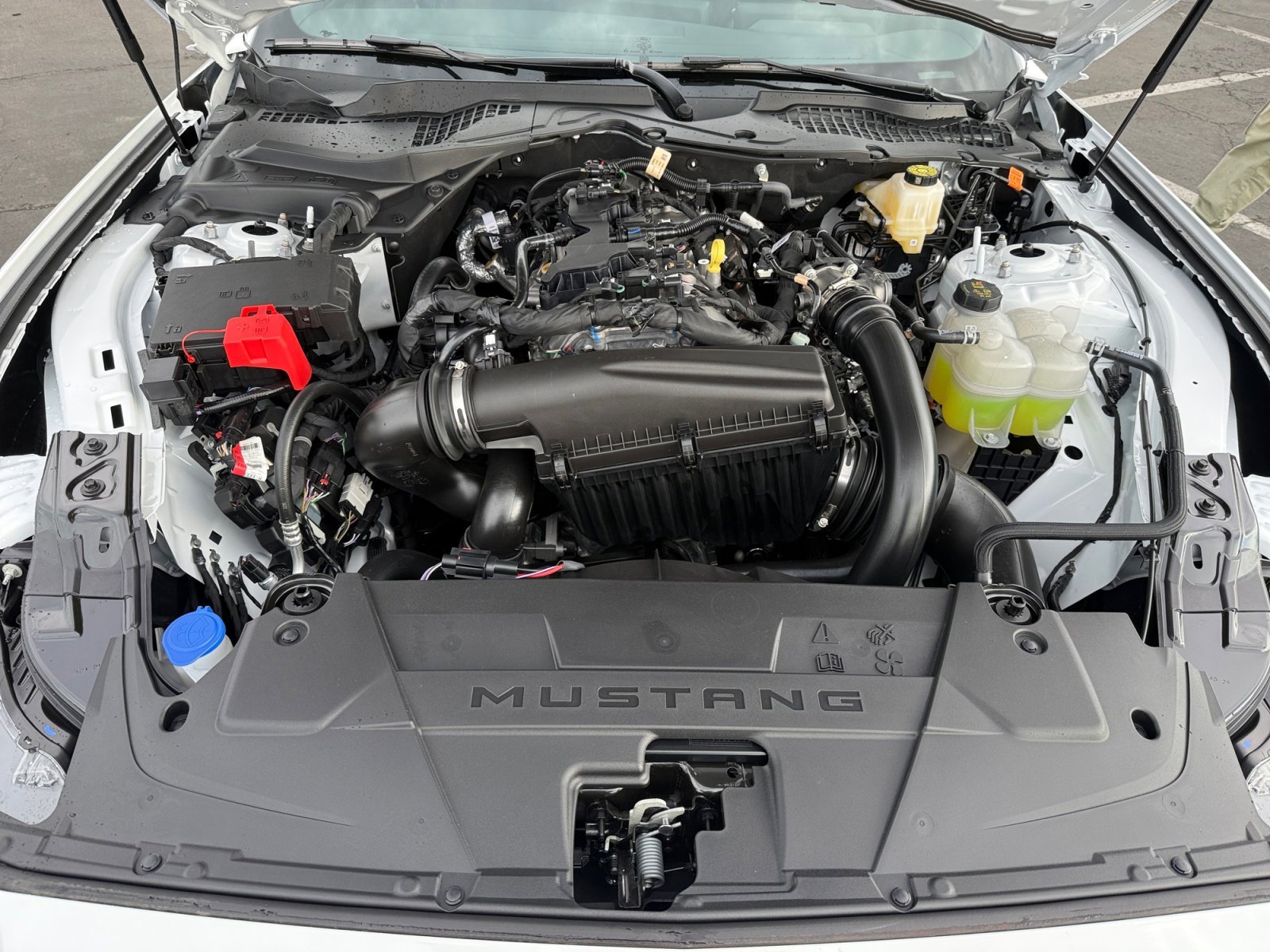 New 2026 Oxford White Ford EcoBoost® Fastback image 20