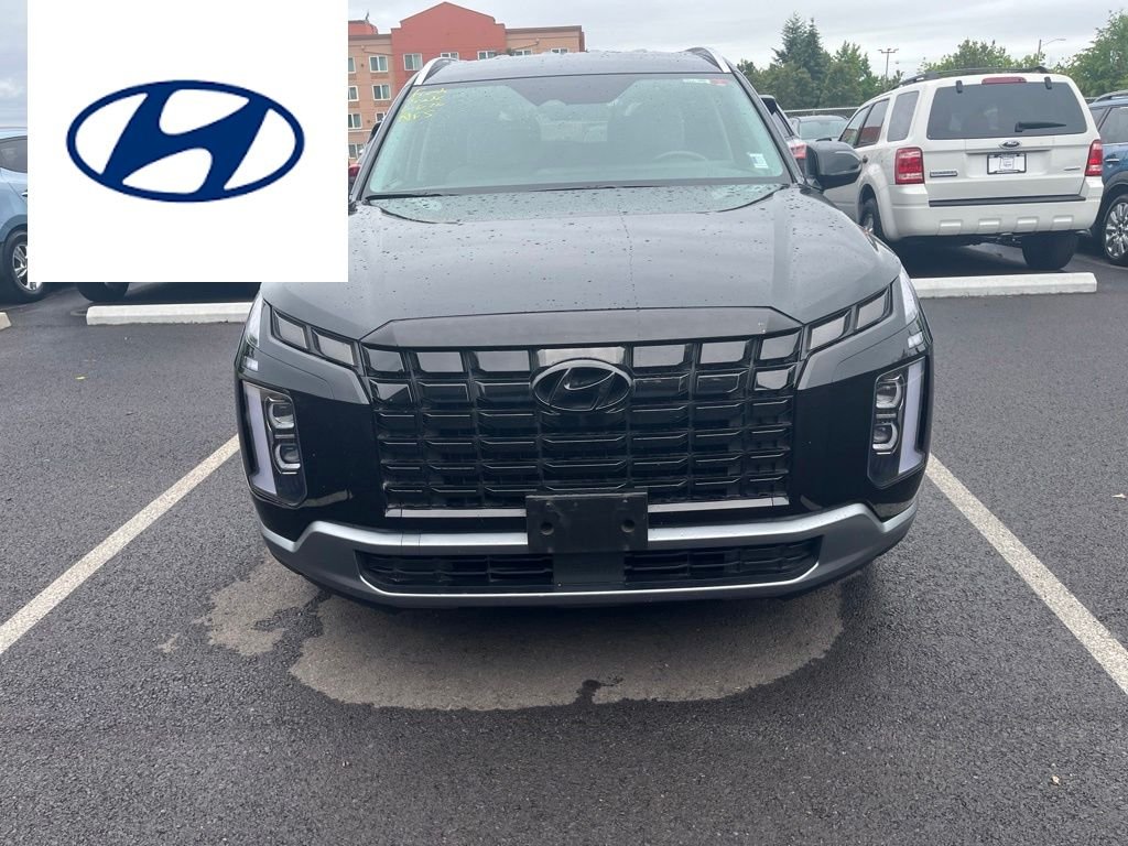 2025 Hyundai Palisade SEL - Photo 1
