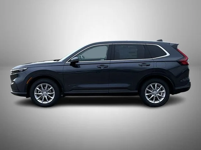 View 8