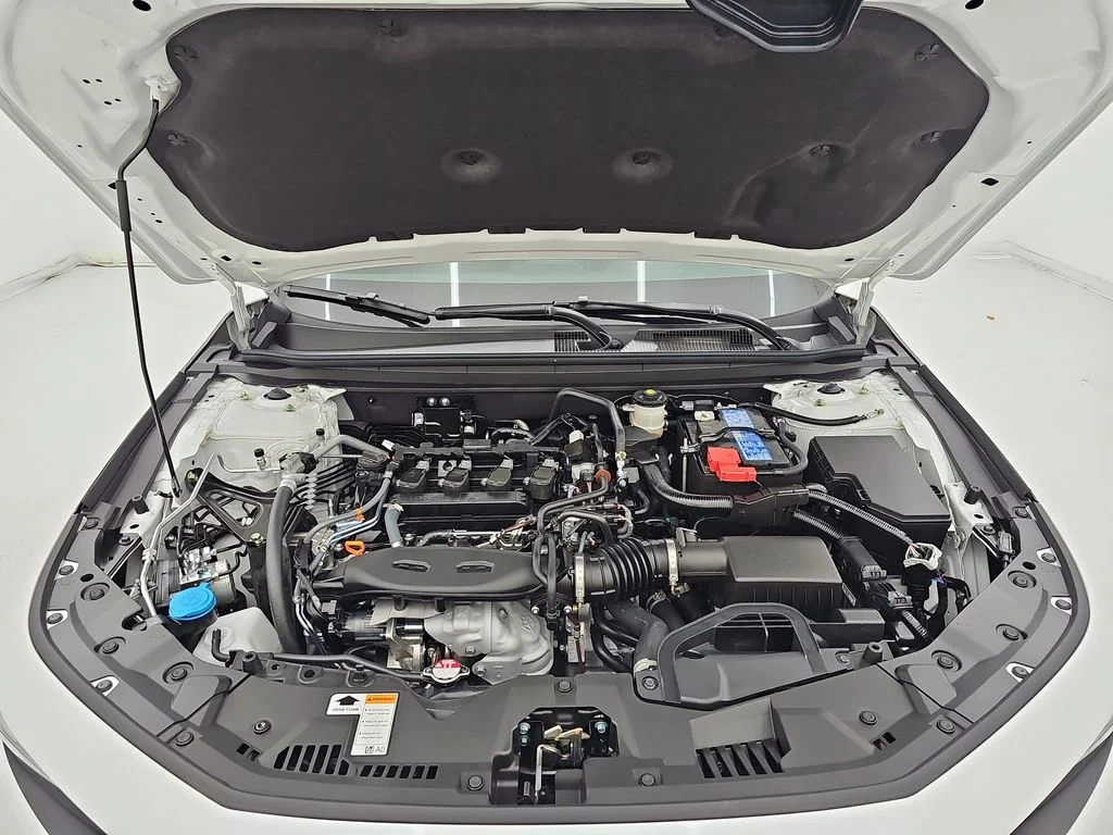 New 2026 Platinum White Pearl Honda LX image 30
