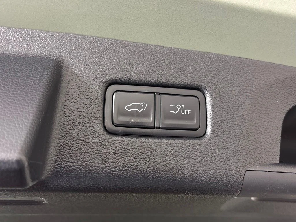Used 2024 Green Kia EX X-Line image 42