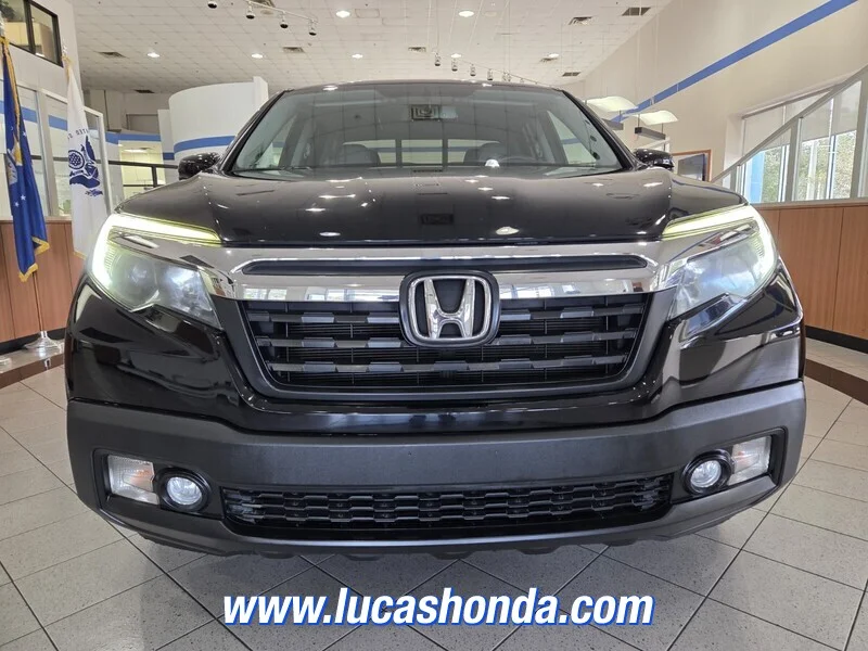 Used 2019 Black Honda RTL-T 2WD image 2