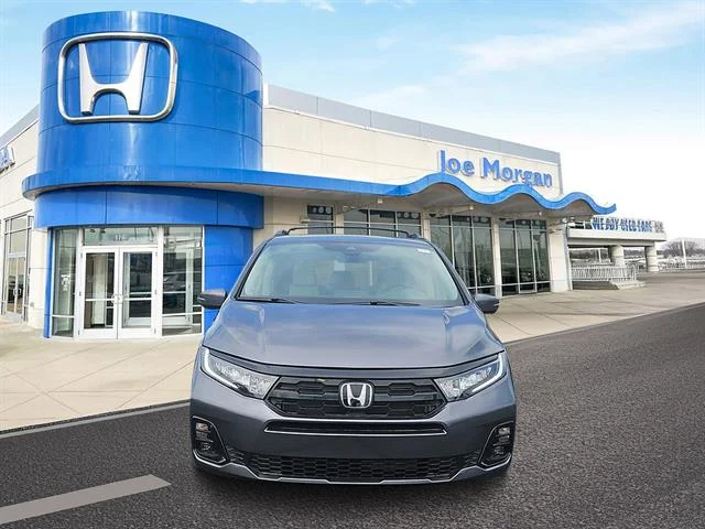New 2026 Modern Steel Metallic Honda Elite image 2