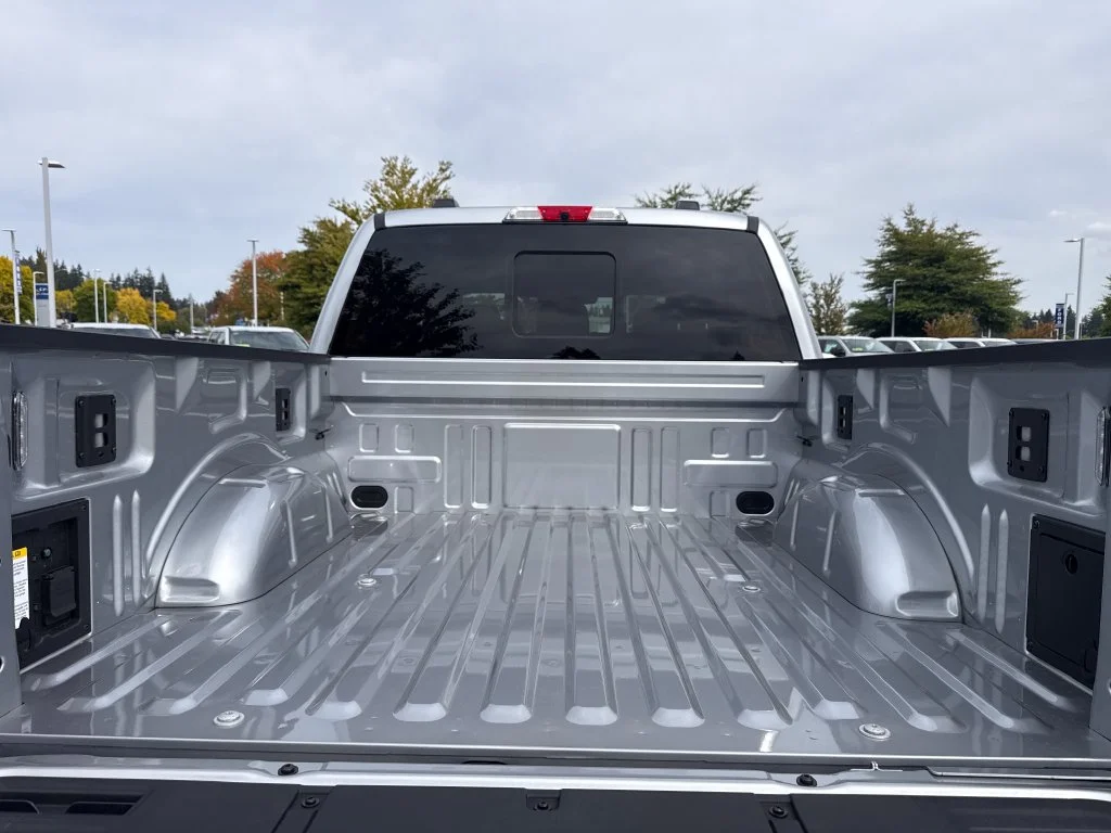 New 2026 Silver Ford Platinum image 30