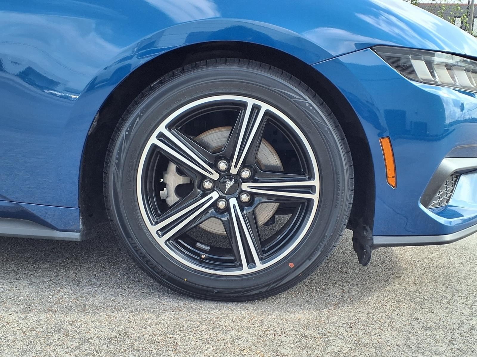 2024 Ford Mustang EcoBoost Blue at Davis Chevrolet