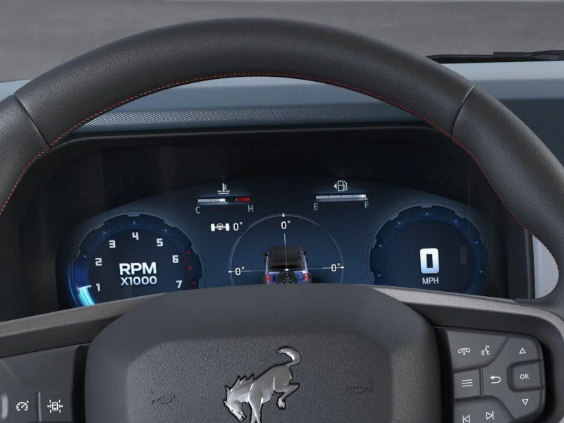 New 2026 Black Ford Heritage Edition image 13