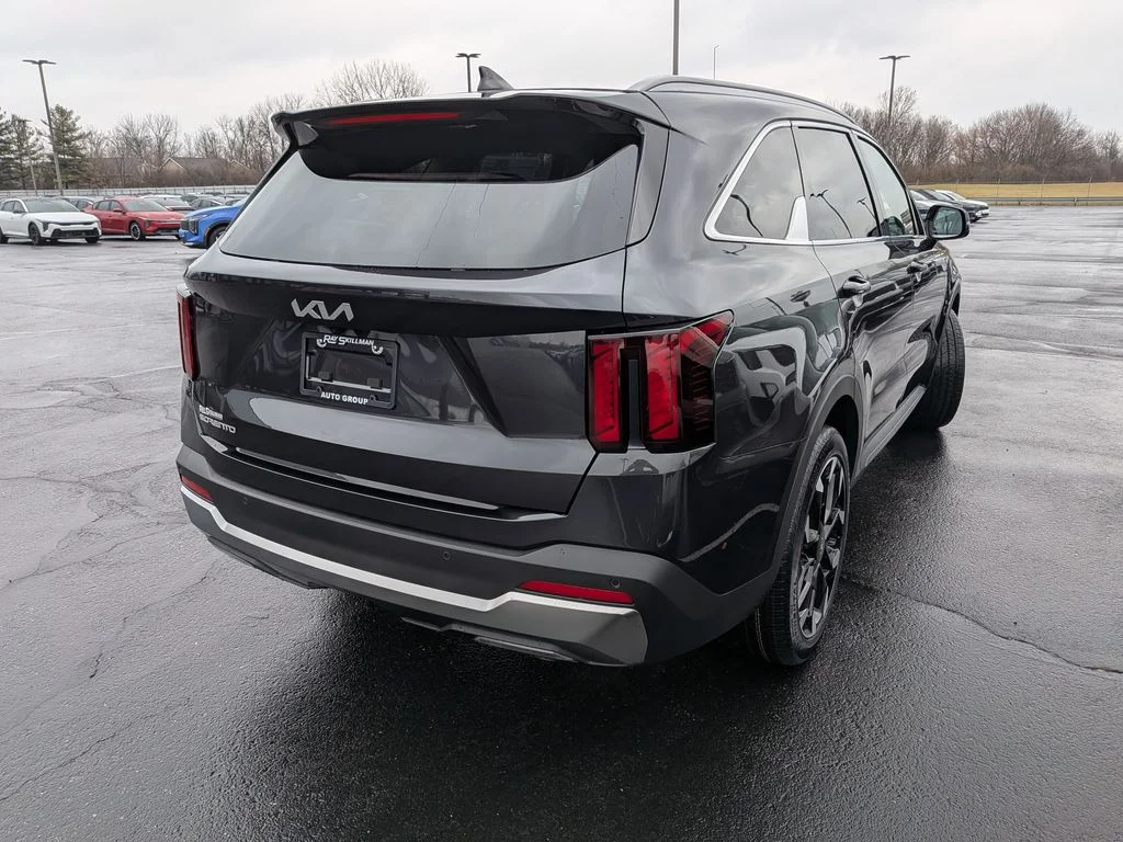 New 2026 Panthera Metal Kia EX image 7