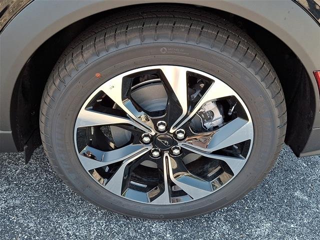 New 2026 Shadow Black Ford Select image 22