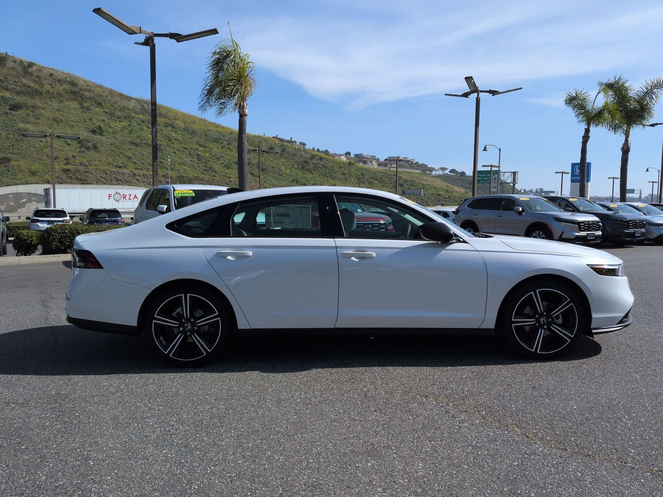 New 2026 Platinum White Pearl Honda SE image 8