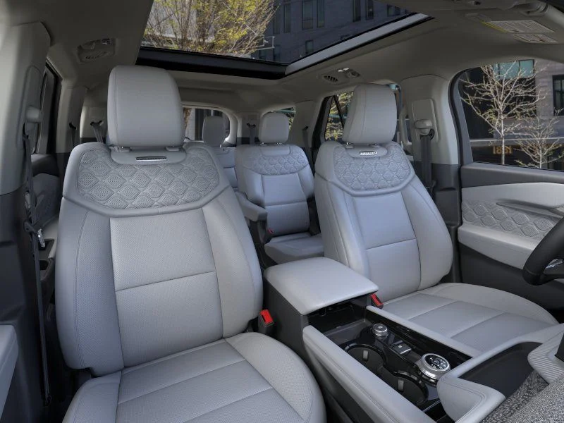 New 2026 Black Ford Platinum image 10