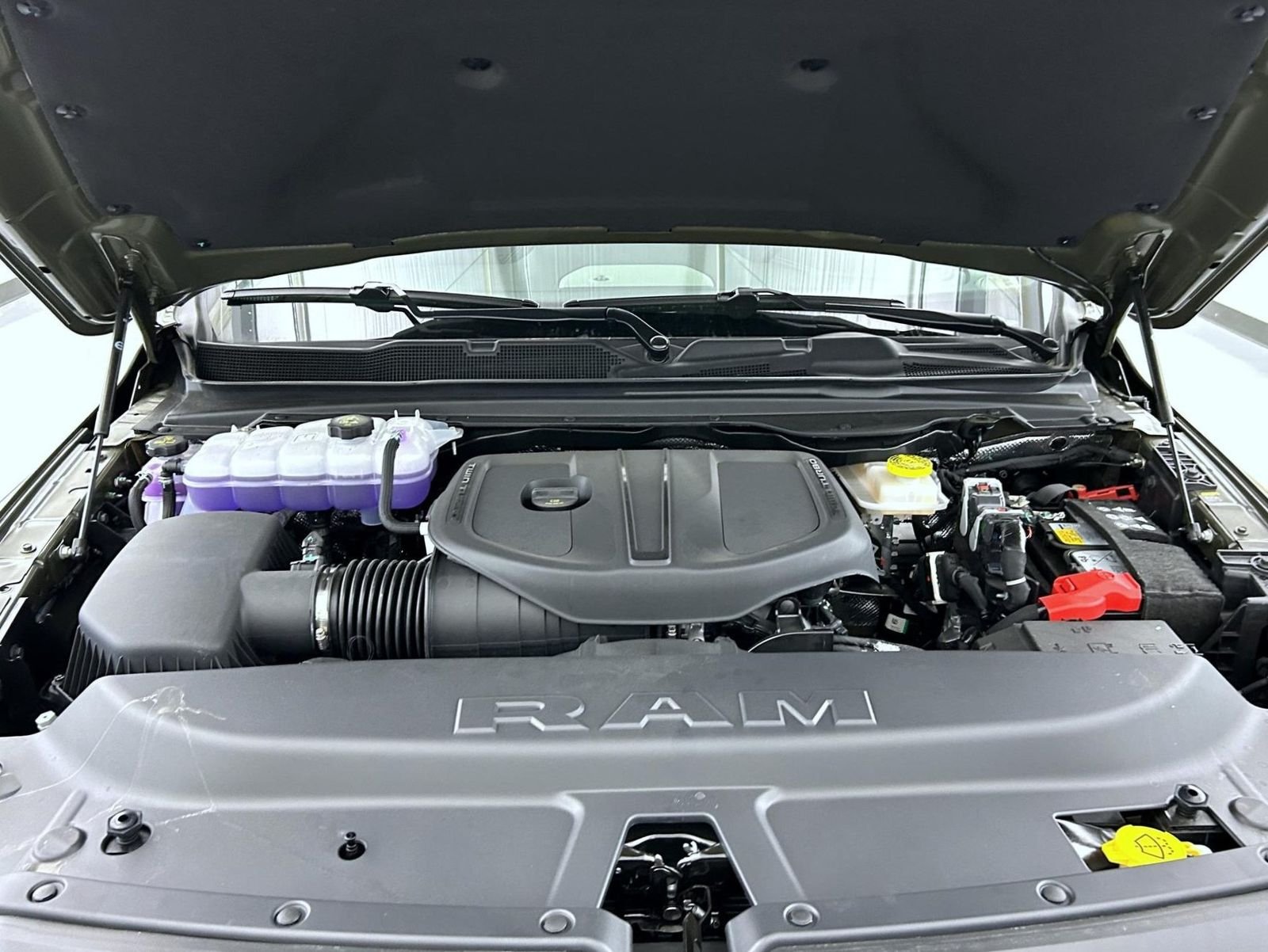 New 2026 Tank Exterior Paint RAM Rebel image 25