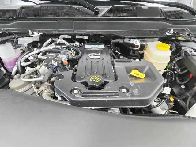 New 2026 White Ram Big Horn image 18