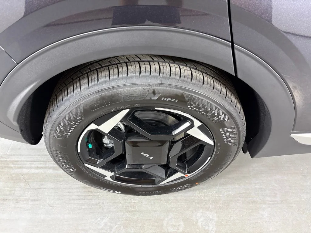 New 2026 Panthera Metal Kia EX image 10
