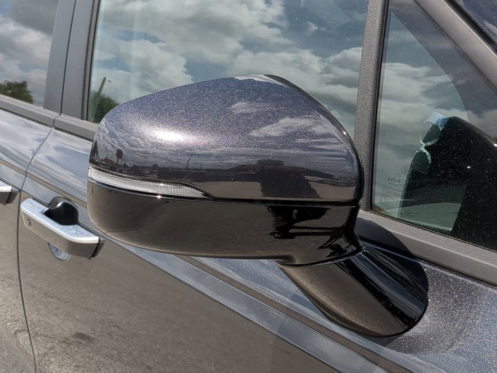 New 2026 Panthera Metal Kia LX image 12