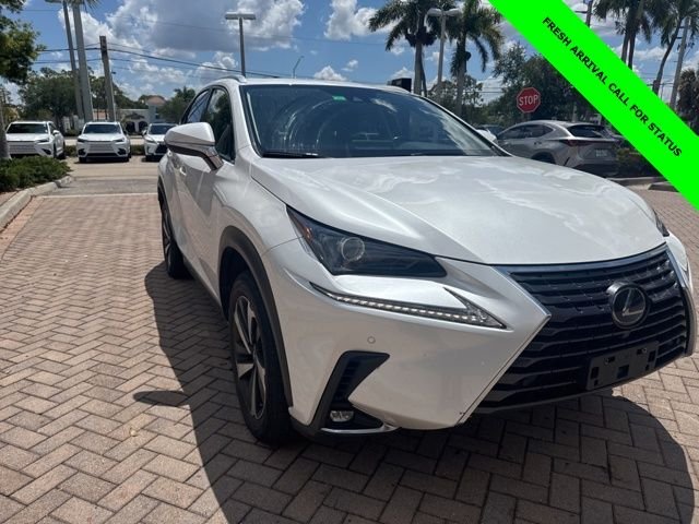 2020 Lexus NX 350h 300h AWD's photo