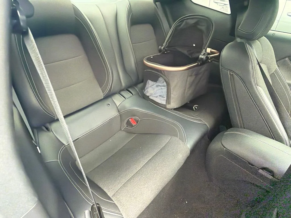 Used 2024 Oxford White Ford EcoBoost image 7