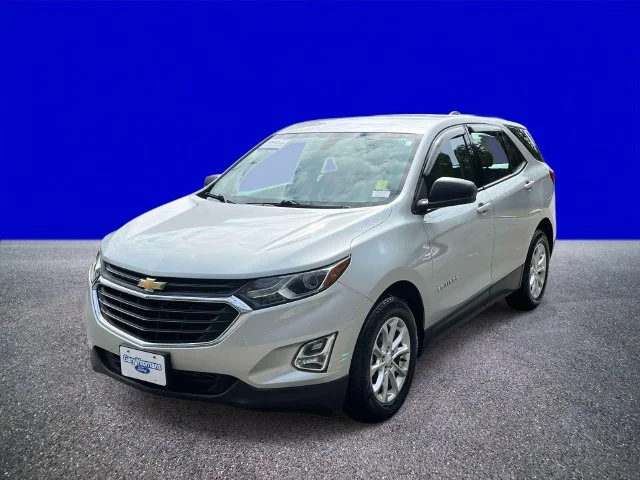 Used 2019 Silver Ice Metallic Chevrolet LS image 7