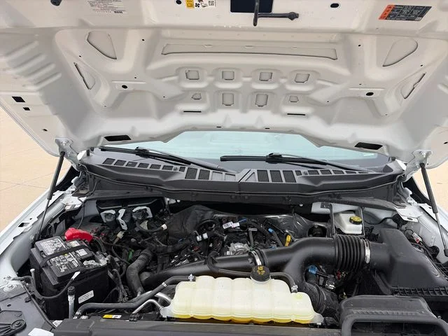 Used 2025 White Ford STX image 31