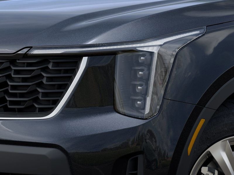 New 2026 Panthera Metal Kia LX image 11
