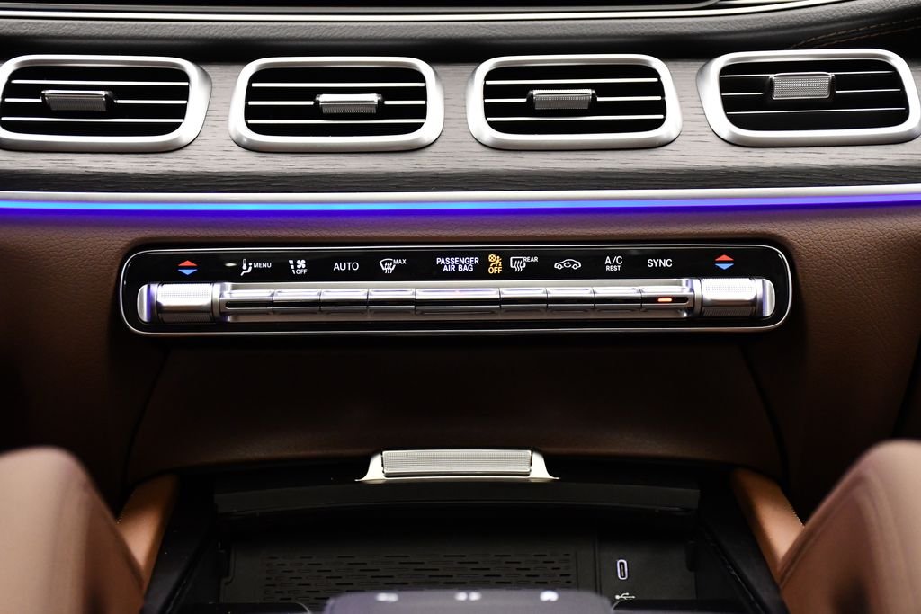 2025 Mercedes-Benz GLS Base - Photo 29