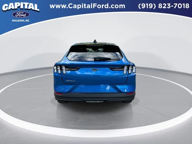 Used 2025 Blue Ford Premium image 7