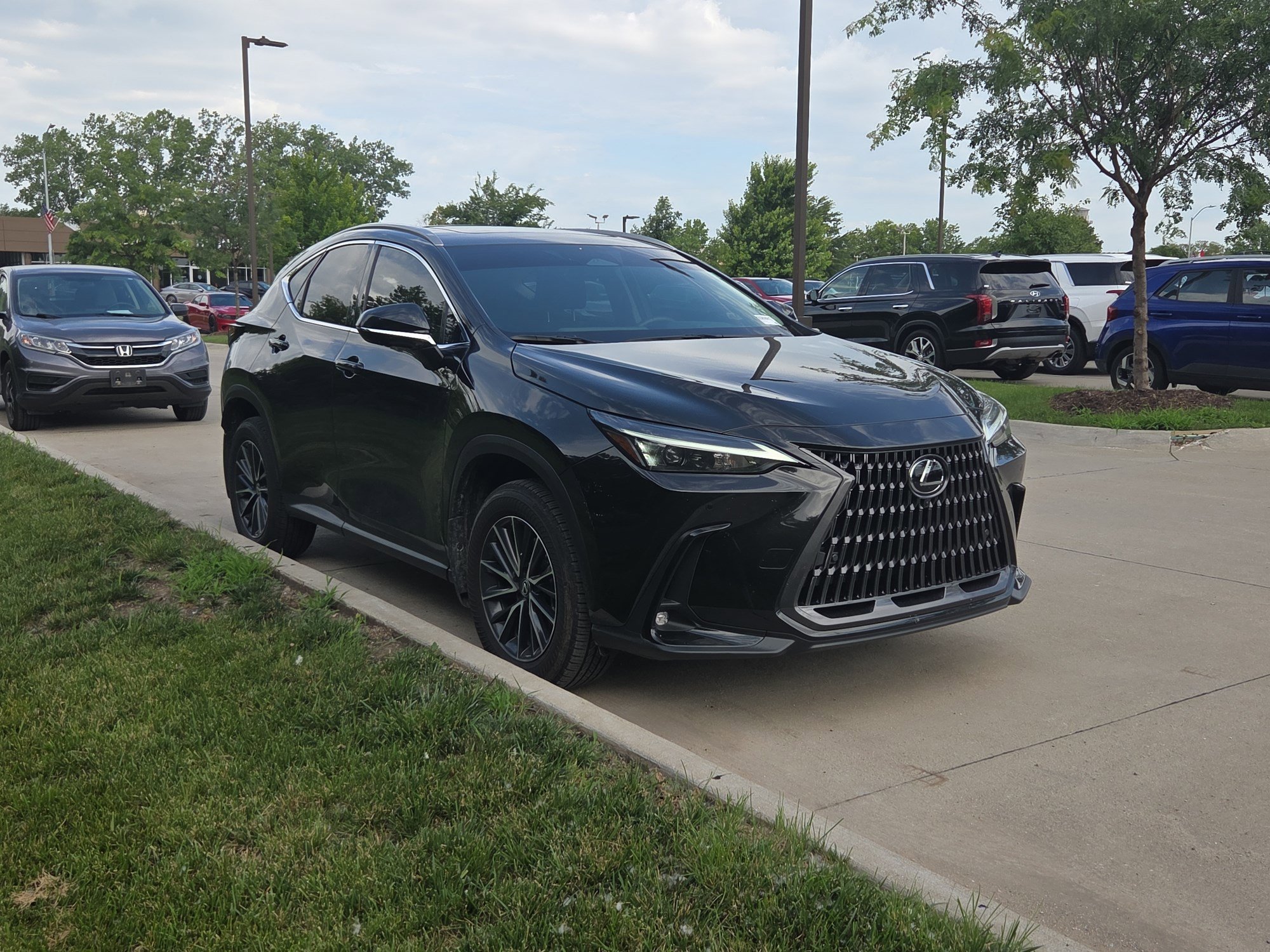Stew Hansen Ce 2025 Caviar Lexus NX 350 Premium image 7