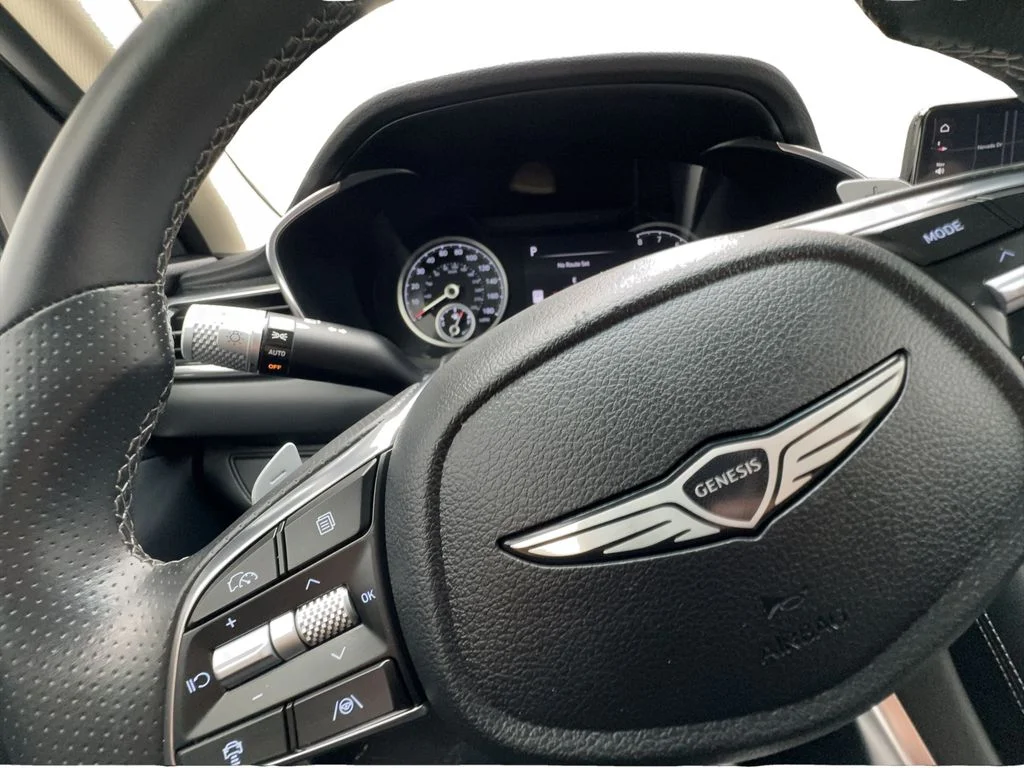 Used 2025 Gray Genesis 2.5T image 42