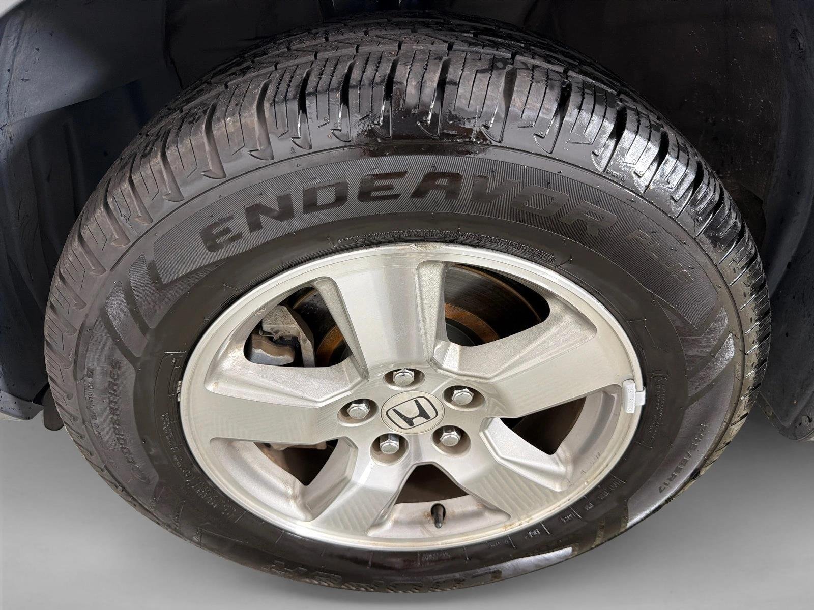 Used 2009 Nimbus Gray Metall Honda EX-L w/RES image 12