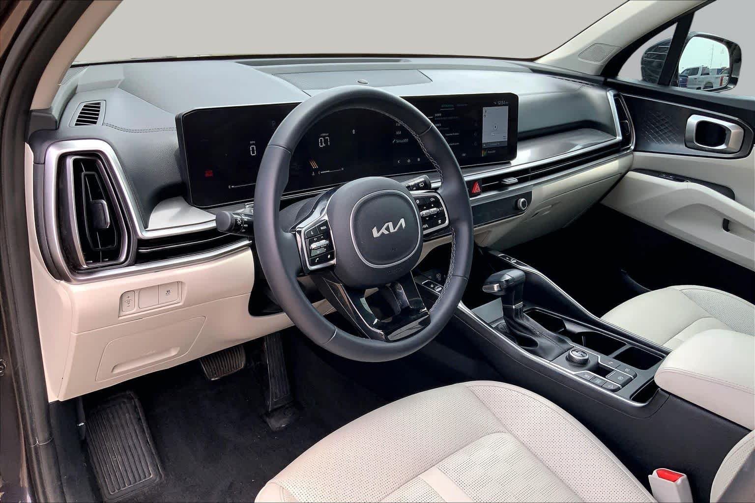 Used 2025 Panthera Metal Kia S image 18