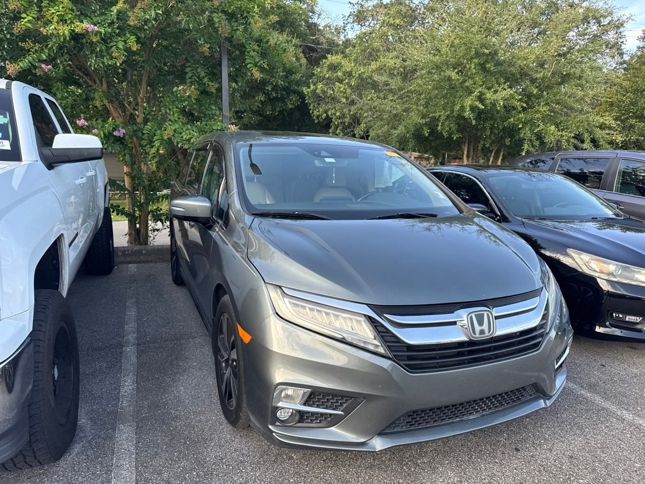 Used 2019 Gray Honda Elite image 3