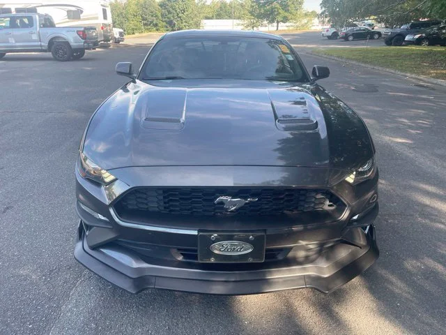 Used 2019 Gray Ford EcoBoost Premium image 8