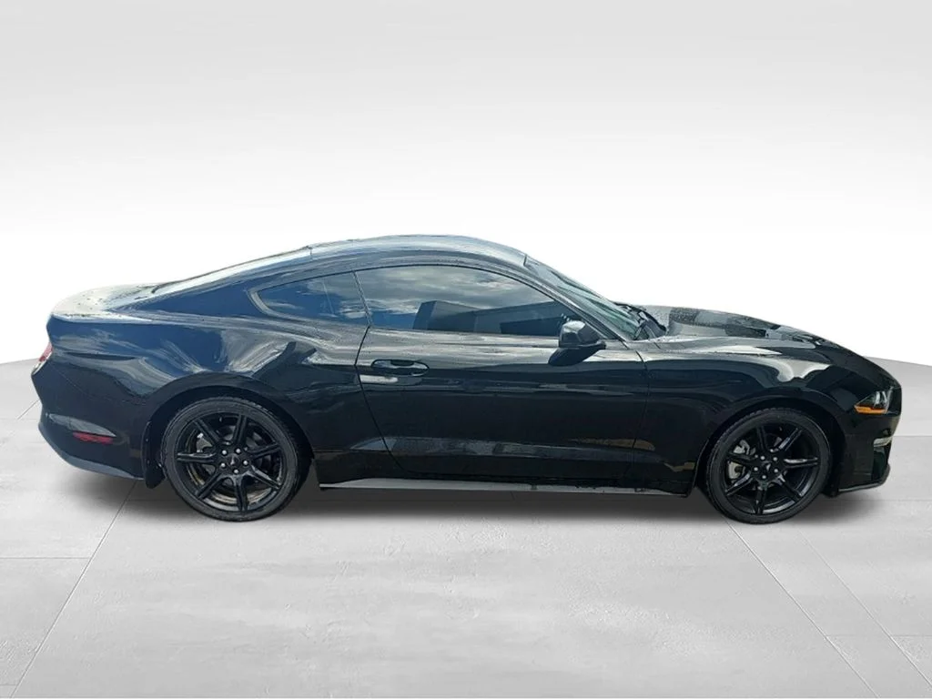 Used 2019 Shadow Black Ford EcoBoost Premium image 4