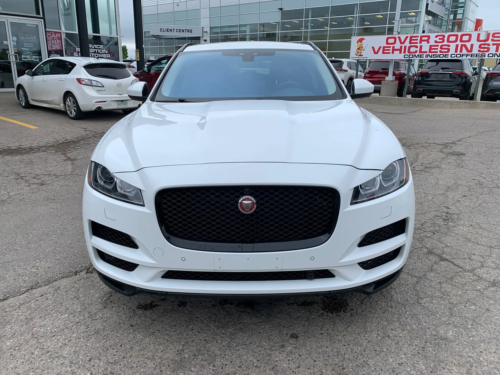Used 2020 Fuji White Jaguar 25t Prestige image 4