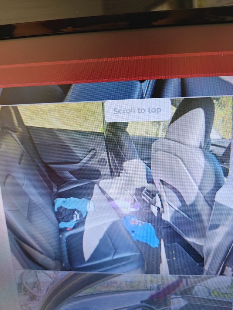 Used 2024 Black Tesla Performance image 6