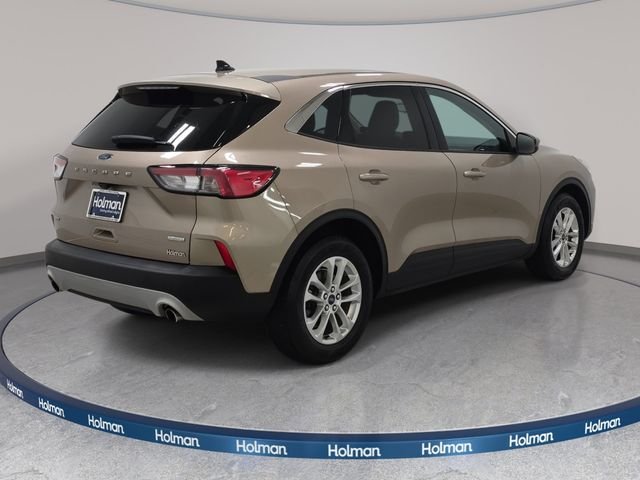 Used 2020 Gold Ford SE image 6