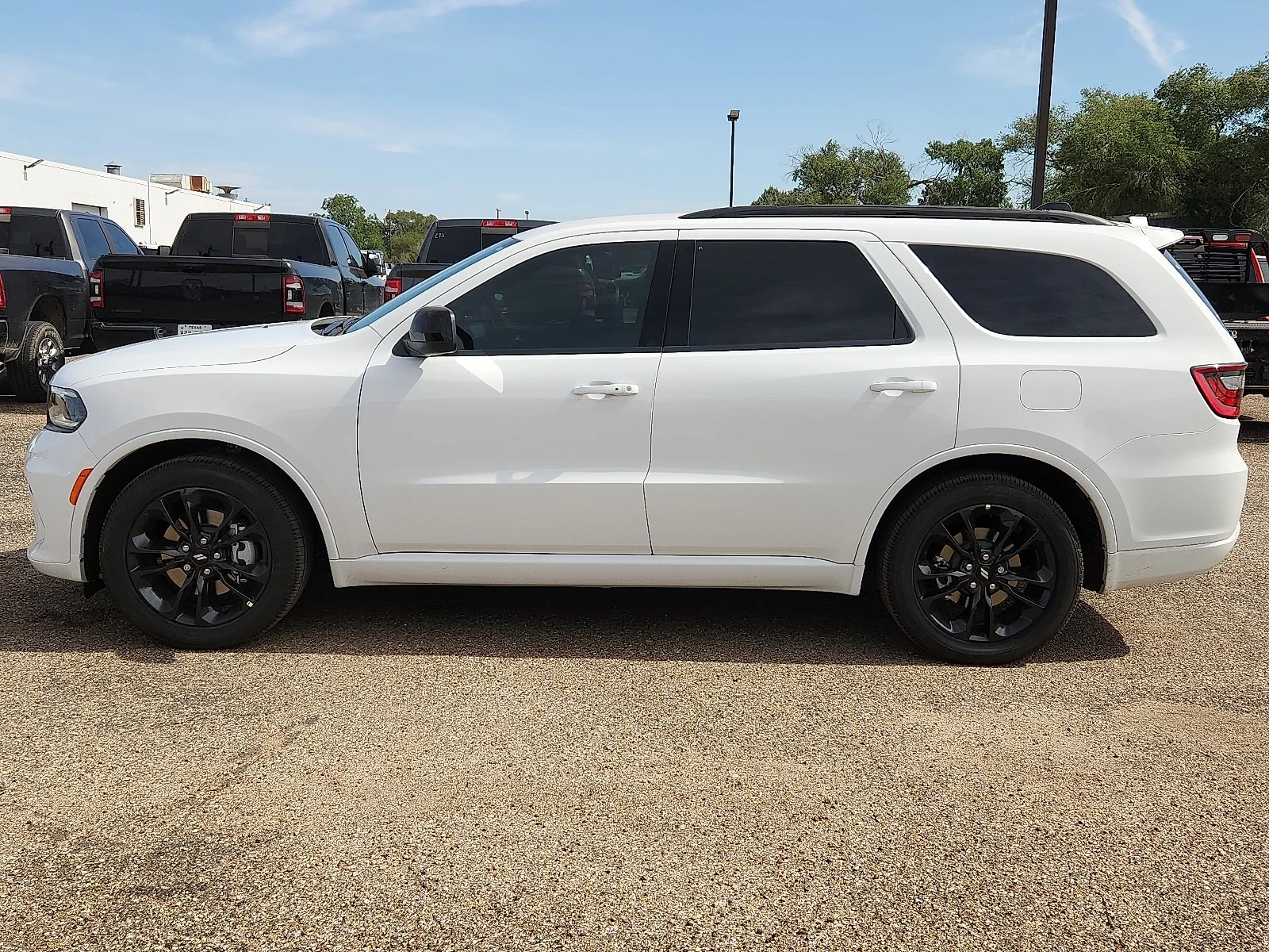 New 2026 PW7 White Knuck Dodge GT RWD image 2