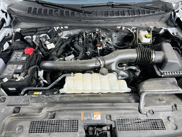 2025 Ford Expedition Active - Photo 30
